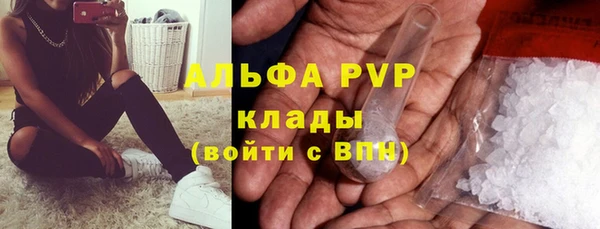 PSILOCYBIN Богородск