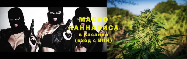 гидра Богданович