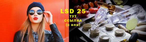 PSILOCYBIN Богородск