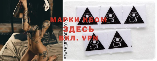 гидра Богданович