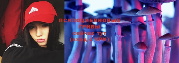 PSILOCYBIN Богородск