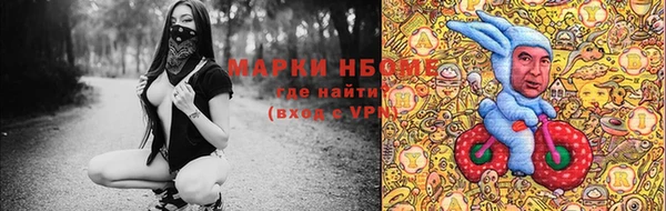 гидра Богданович