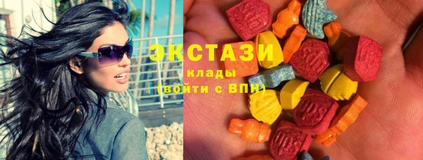 гидра Богданович