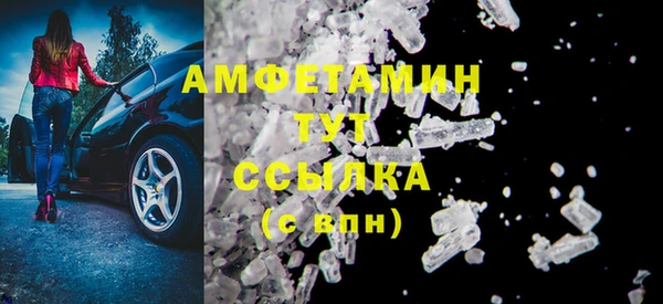 гидра Богданович